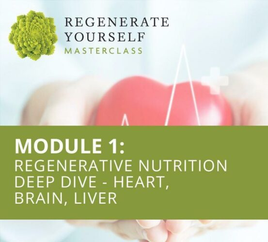 Regenerate Yourself Masterclass, Module 1